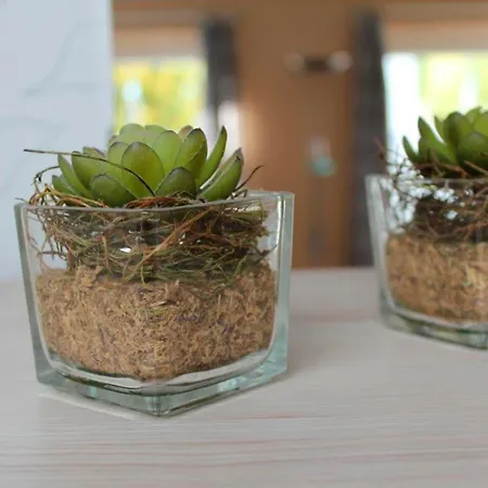 Carstensen Nr1 Apartamento Fehmarn