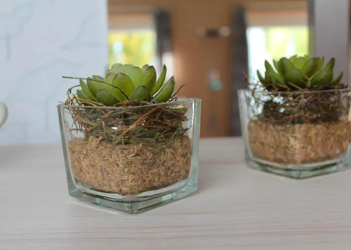 Carstensen Nr1 Appartement Fehmarn